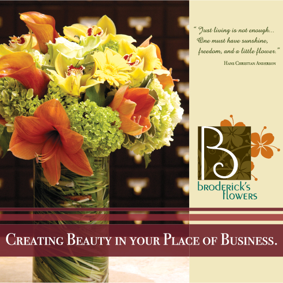 Broderick B2B Brochure